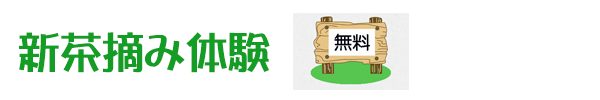 新茶摘み体験