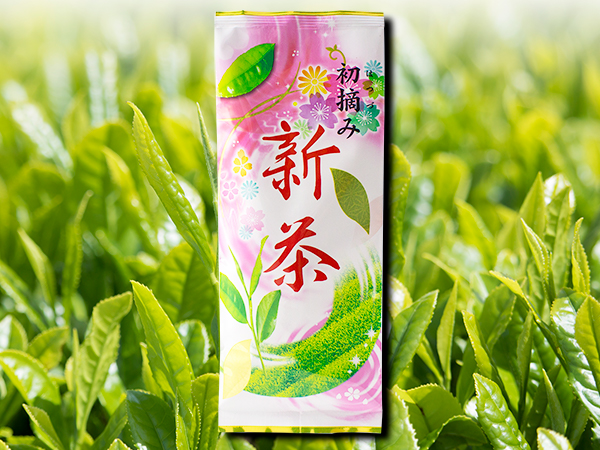 新茶初摘み