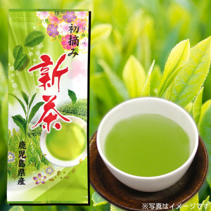 新茶初摘み