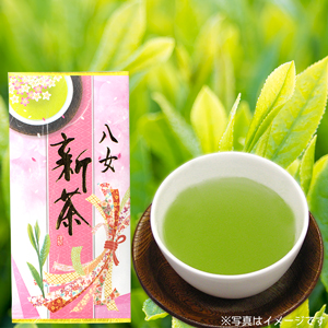 新茶八女
