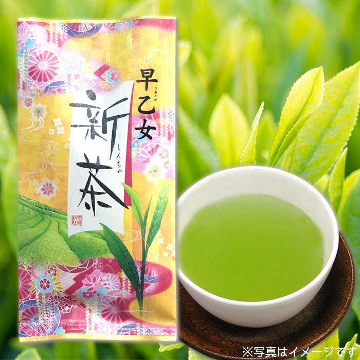 新茶 早乙女(平袋)
