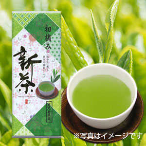 新茶初摘み