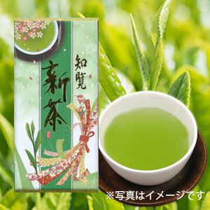 新茶知覧2020
