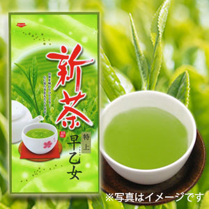 新茶早乙女B(平袋)
