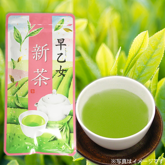 新茶早乙女A