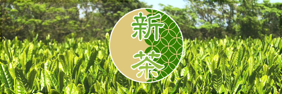 新茶shincha